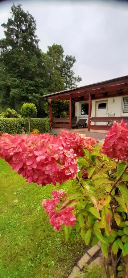 Bungalow Idylle Am See Neuruppin Kültér fotó